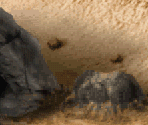 Cutscene 2 - Metal Slug 6