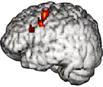 Introduction Figures - Dr Kawashima's Brain Training for Nintendo Switch