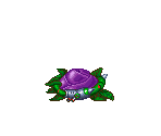 Purple Rose - Mega Man X5