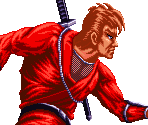Introduction - Ninja Combat