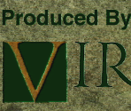 Viridis Logo and Stereo Screen - Zelda's Adventure