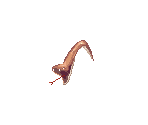 Anacondaq - Ragnarok Online