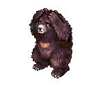 Zipper Bear - Ragnarok Online