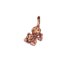 Leopard (Baby) - Ragnarok Online