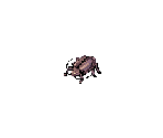 Thief Bug - Ragnarok Online