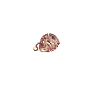 Caterpillar - Ragnarok Online