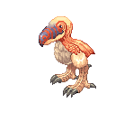 Peco Peco - Ragnarok Online