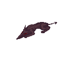 Matyr - Ragnarok Online