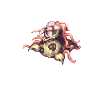 Mandragora - Ragnarok Online