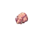 Gullinbursti - Ragnarok Online