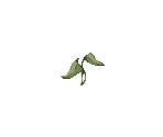 Plant (Green) - Ragnarok Online