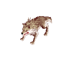 Desert Wolf - Ragnarok Online