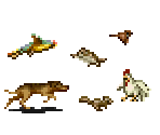 Animals - Metal Slug
