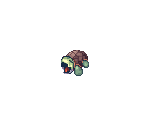 Animal Hats - Ragnarok Online