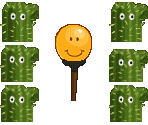 Cactus Maze - 31 Minutos