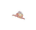 Halloween Hat - Ragnarok Online