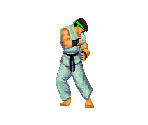 Playable Character - Haita Tsuun Dash