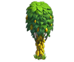 Cacao Tree - Fidelity (Верность)