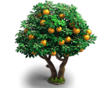 Orange Tree - Fidelity (Верность)