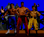 Introduction - Pit Fighter
