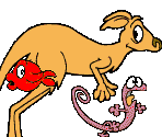 Level 1 Animals - Kinder Pingui Cocco Game (ITA)