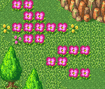 Haunted Forest Path - Secret of Mana