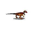 Gallimimus (Adult) - Jurassic Park