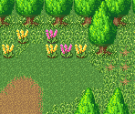 Potos Path 1 (No Water, Grass & Bushes) - Secret of Mana