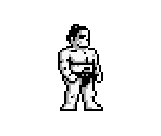 Main Character - Sumo Fighter