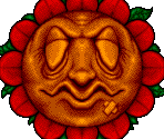 Freaky Flower - Wiz 'n' Liz