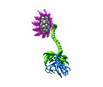 Man-Eater - Castlevania: Harmony of Dissonance