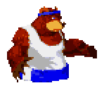 Brother Bears (01 / 03) - Donkey Kong Country 3