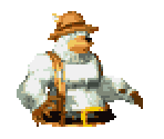 Brother Bears (02 / 03) - Donkey Kong Country 3