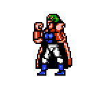 Mysterious Warrior - Double Dragon II: The Revenge