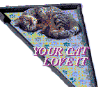 Love your cat AD - Hypnospace Outlaw