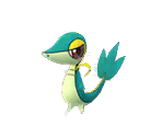Pokémon (5th Generation, Shiny) - Pokémon GO