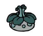 Gulka - Hollow Knight