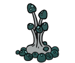 Sporg - Hollow Knight