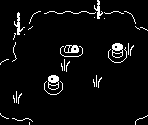 Oasis Room - Minit