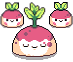 Giant Beets - Forager