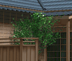 In Front of the Kamio House (Misuzu) - Eternal Fighter Zero