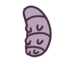 Fluke Larva - Hollow Knight