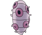 Flukemarm - Hollow Knight