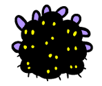 Mothfly Cluster - Bug Fables: The Everlasting Sapling