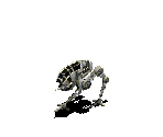 Light AT-PT - Star Wars: Galactic Battlegrounds