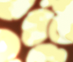 Cutin Effects - SD Gundam G Generation Cross Rays