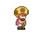 Toadsworth (Super Mario World-Style) - Mario Customs