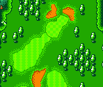 Marion Course #13 - Mario Golf