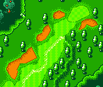 Marion Course #16 - Mario Golf