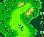 Palms Course #03 - Mario Golf